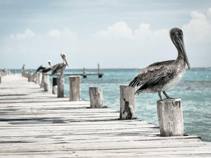 云图解密<br>ljvwvuu.cn 星美451档案
